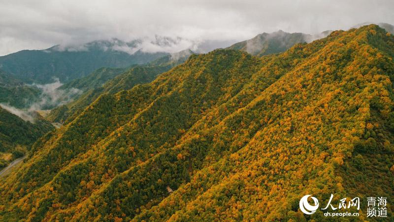 In pics: breathtaking autumn scenery along most beautiful road in NW China’s Qinghai