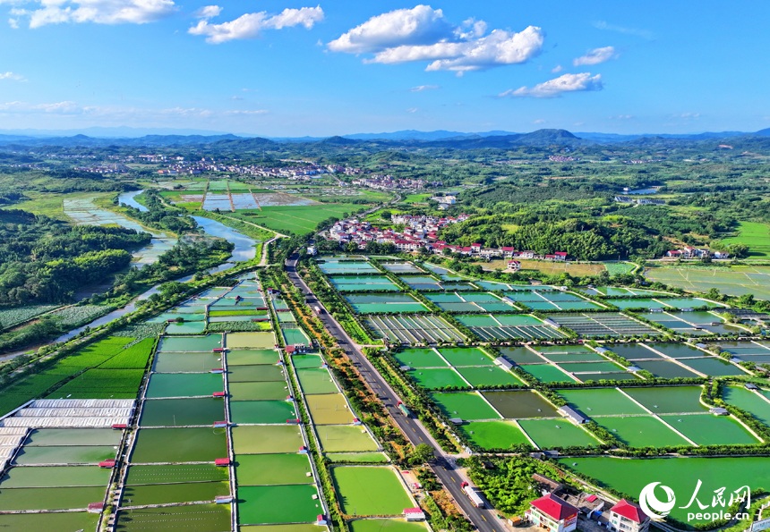 Rural highways contribute to industrial clusters in Nanfeng, E China's Jiangxi Province