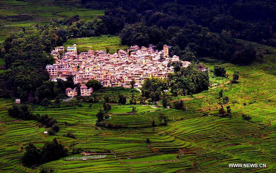 Scenery of Honghe Hani Rice Terraces in SW China